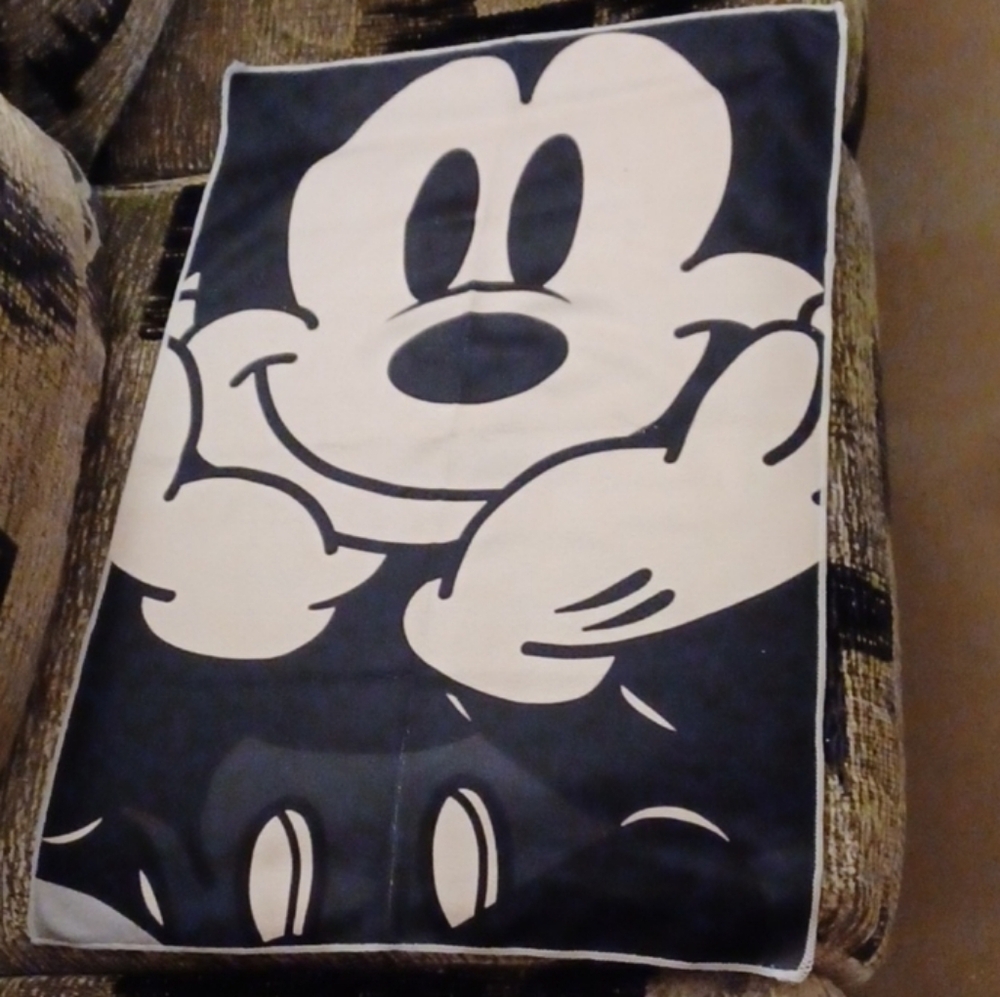 4/$30 New "Mickey Mouse" Dish Towel